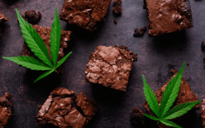 Cannabis Decarboxylation 101: Everything You Need to Know