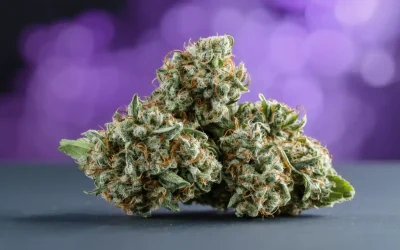 Cannabis Decarboxylation Temperature and Time