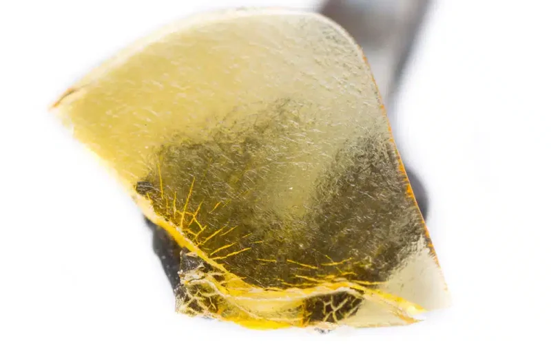 Cannabis Extraction Efficiency: How To Improve Extraction Yield and Purity
