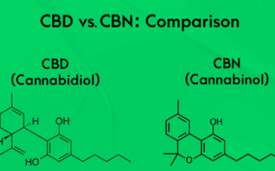 Cbn Vs Cbd: What's the Difference