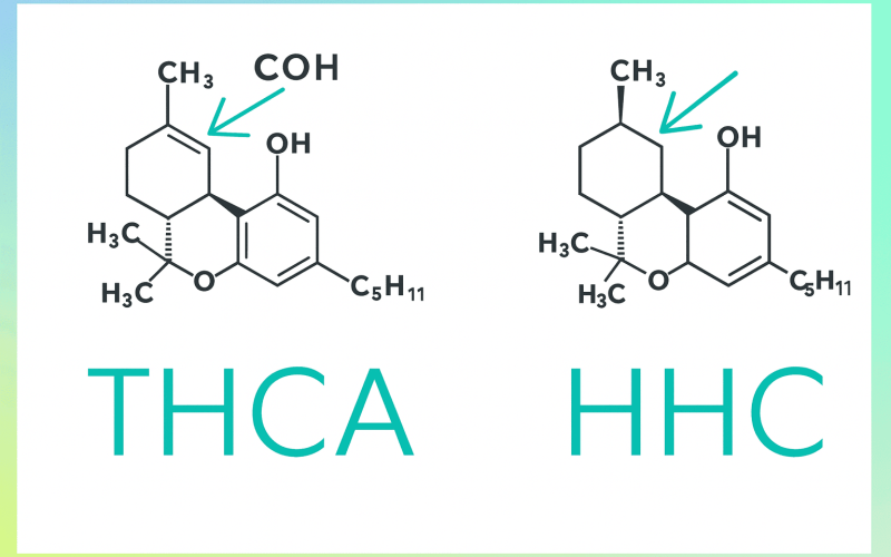 HHC vs THCA: What's the Difference
