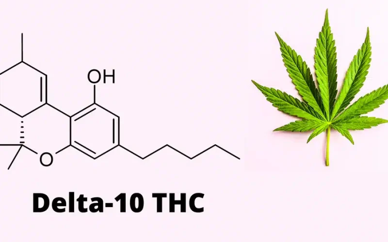 Delta 10 Thc The Ultimate Guide