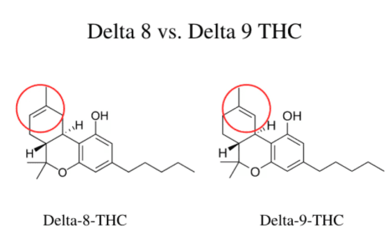 Delta-8 THC vs. Delta-9 THC: What's The Difference?
