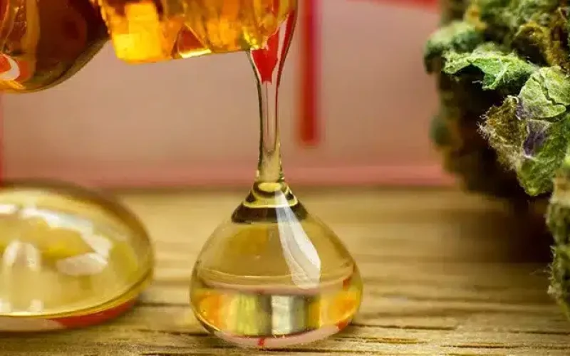 Dewaxing CO2 Oil: Step-by-Step Process for Cleaner Extracts
