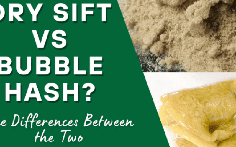 Dry Sift vs Bubble Hash: What’s the Difference and Which Is Better?