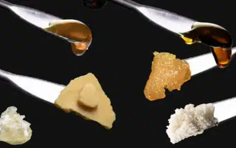 Different Types of Wax Dabs | A Complete Dabbing Guide