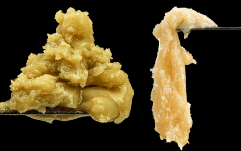 Flower Rosin vs Hash Rosin