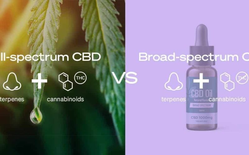 Full Spectrum vs Broad Spectrum CBD: What's the Difference