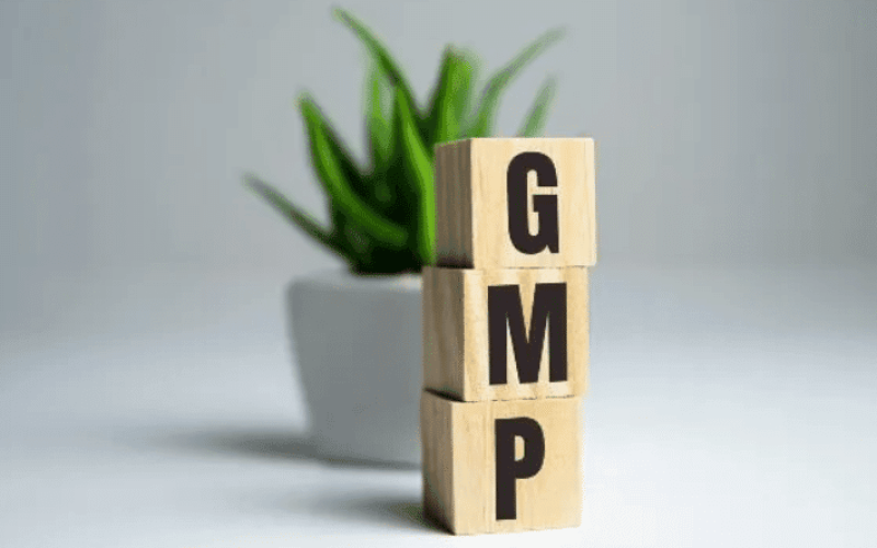 GMP RS BLOG