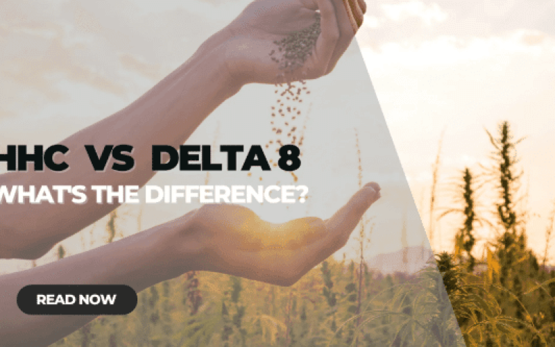 HHC vs Delta 8: What’s the Difference