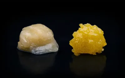 Hash Rosin vs Live Resin