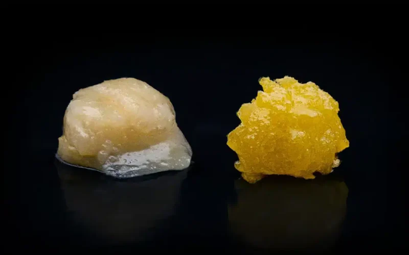 Hash Rosin vs Live Resin