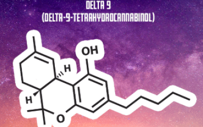 How Is Delta 9 Made? Complete Manufacturing Breakdown