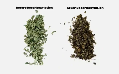 How To Decarboxylate Cannabis