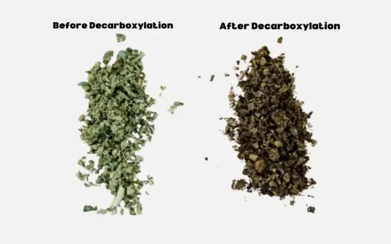 How To Decarboxylate Cannabis