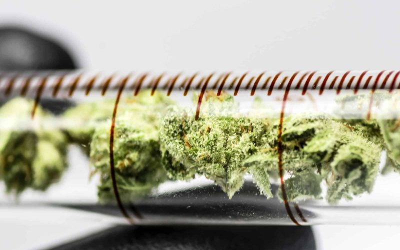 How to Identify High-Quality Cannabis Distillates in a Lab Setting