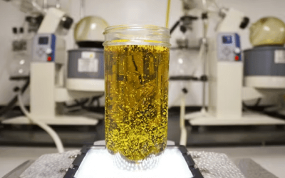 Hydrocarbon Extraction: A Complete Guide to Process, Methods, and Benefits