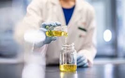 In-House Cannabis Testing in Processing Labs