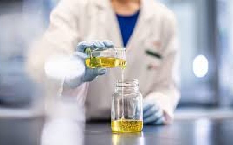 In-House Cannabis Testing in Processing Labs