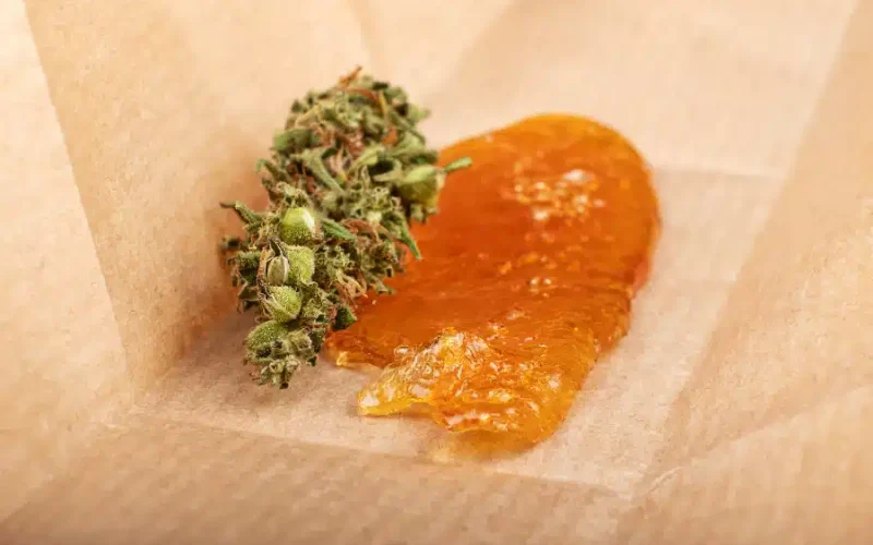 Live Badder vs Live Rosin: A Complete Guide to Extraction, Flavor, and Effects