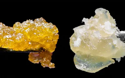 Live Resin vs Solventless