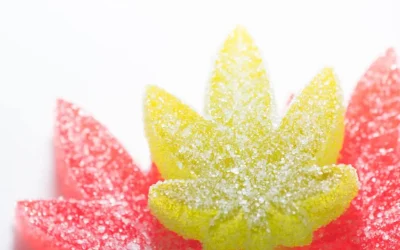 Nano Emulsification in Cannabis: A Guide to Nano Emulsified Cannabinoids