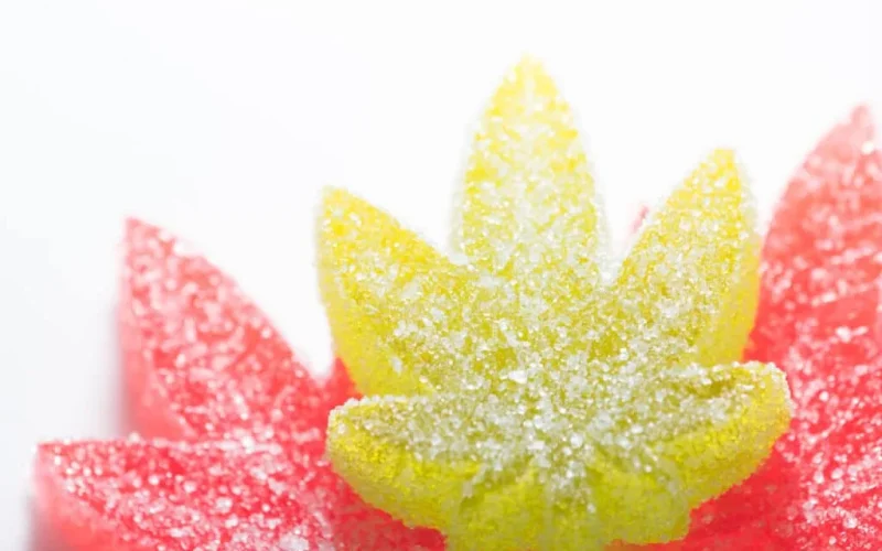 Nano Emulsification in Cannabis: A Guide to Nano Emulsified Cannabinoids