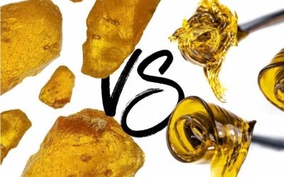 Rosin vs Shatter