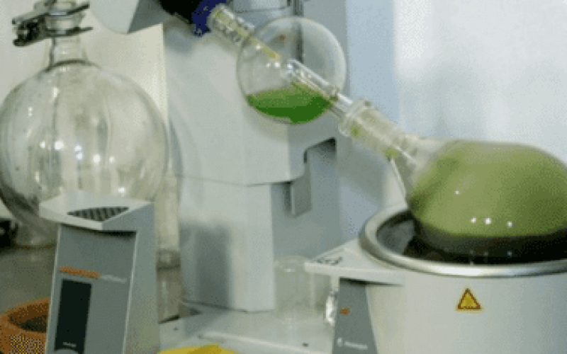 Rotovap Extraction Method