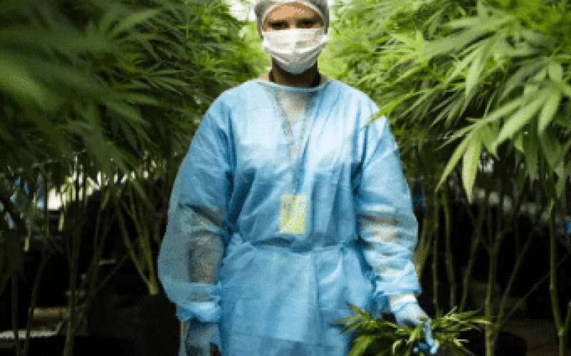 Safety in BHO Extraction