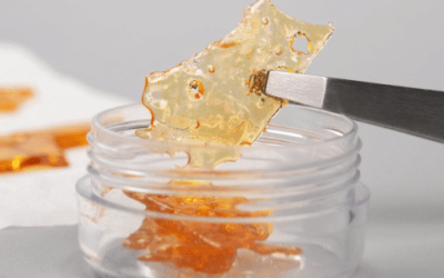 What is Shatter Wax? A Complete Guide to Using Cannabis Shatter