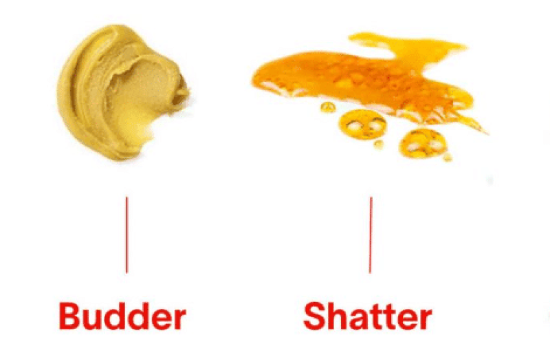 Shatter vs Budder: Whats the Difference