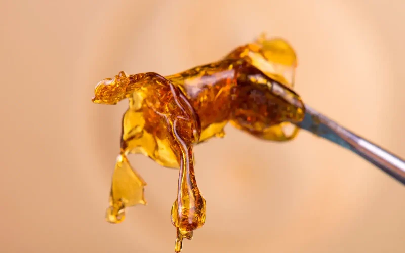 Shatter vs. Wax: What's the Difference and Which Should You Choose?