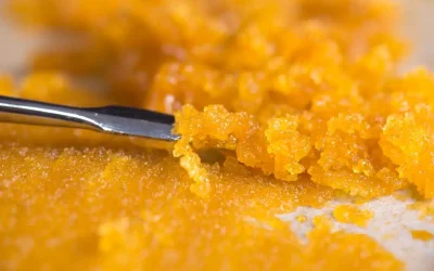 Solventless Cannabis Extraction Methods Explained