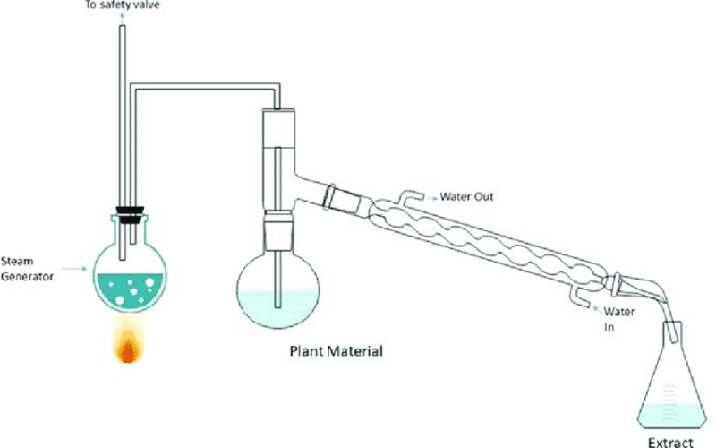 Steam-Distilled Terpenes: A Complete Guide