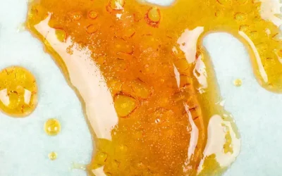 Supercritical Cannabis CO2 Extraction Equipment