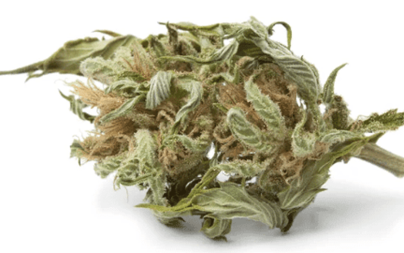 THC Remediation: Popular Methods, Applications and Challenges in Hemp Purification