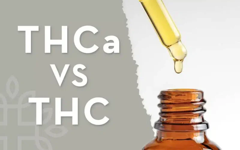 THCA vs. THC Key Differences Benefits and How They Work