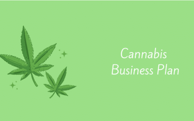 The Ultimate Guide to Writing a Cannabis Business Plan