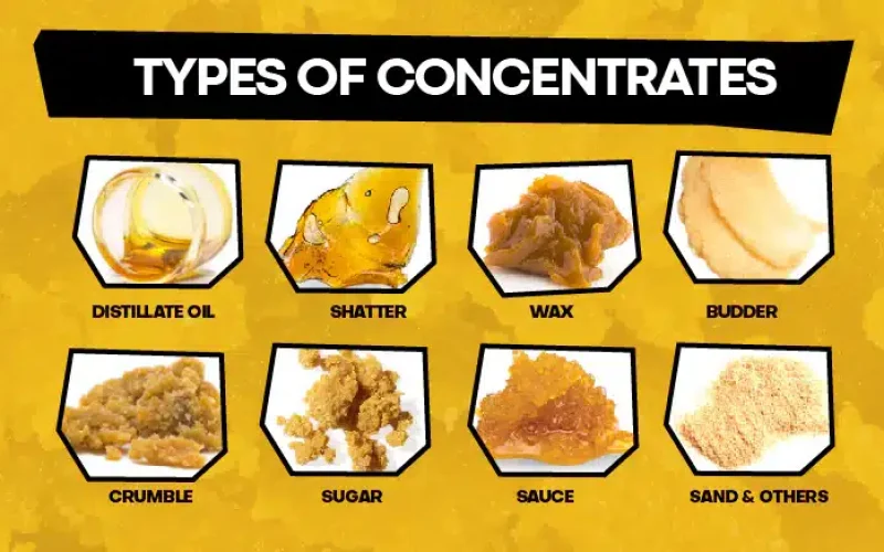 Types of Cannabis Concentrates