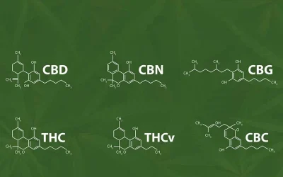 What Are Minor Cannabinoids