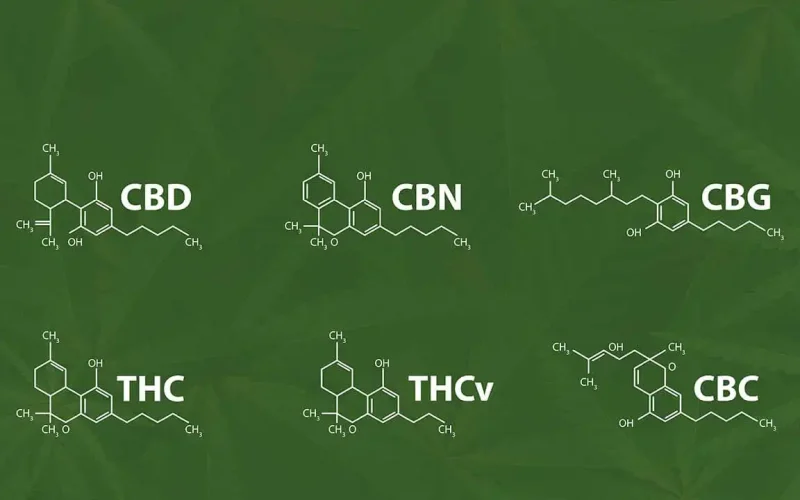 What Are Minor Cannabinoids