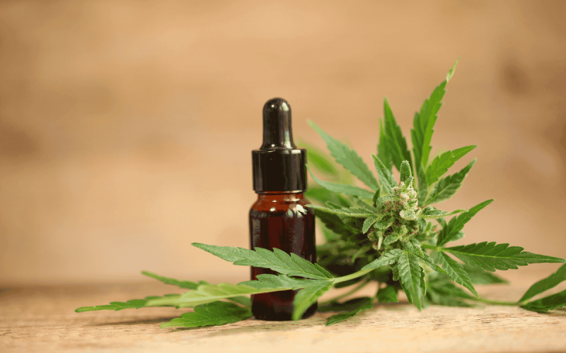 What Are The Best Cannabis Oil Extraction Methods? A Complete Guide (2026)