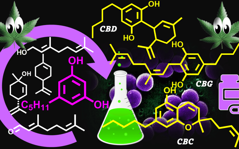What Is the Difference Between CBD vs CBC vs CBG