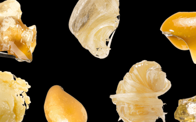 What is Solventless Live Rosin