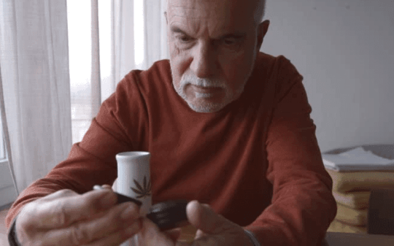 Top CBD Benefits for Men: Boost Your Wellness Naturally