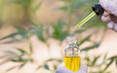 Winterization of Oil: A Complete Guide