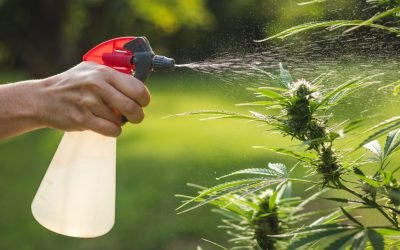 pesticide on leaves - spectralabsci.com