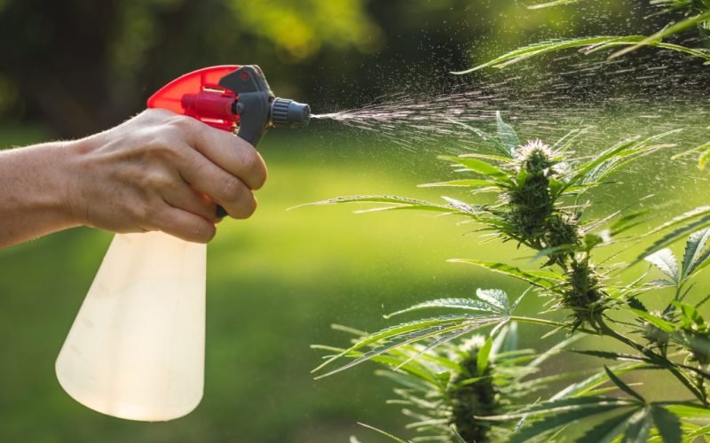 pesticide on leaves - spectralabsci.com