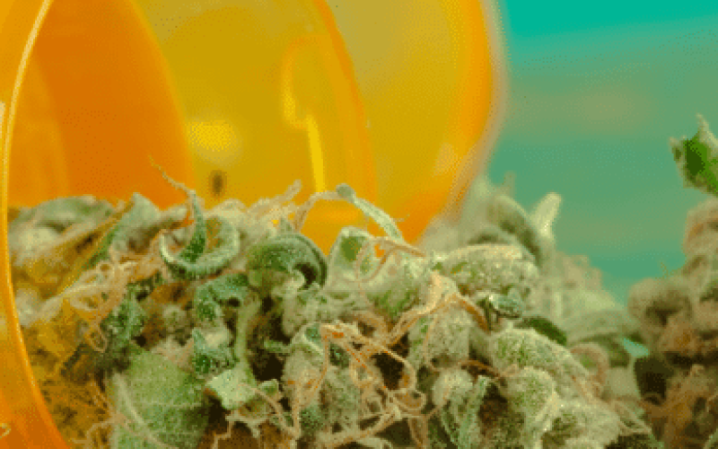 cannabinoids and terpenes